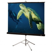 Draper Diplomat 215005 Manual Projection Screen - 120" - 1:1 - 72" x 96" - Matt White XT1000E - GREENGUARD Compliance 215005