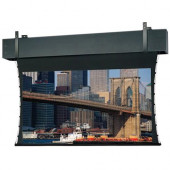 Da-Lite Tensioned Professional Electrol Projection Screen - Da-Mat - 247" Diagonal - GREENGUARD, TAA Compliance 35263