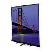 Da-Lite Floor Model C Portable and Tripod Projection Screen (Gray Carpeted) - 120" x 120" - Matte White - 170" Diagonal 76179