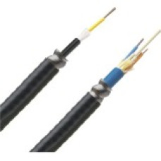 Panduit Fiber Optic Network Cable - Fiber Optic for Network Device - 1 Pack - 9 &micro;m - TAA Compliance FSMP972Y