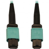 Tripp Lite N844B-03M-12-P Fiber Optic Network Cable - 9.84 ft Fiber Optic Network Cable for Network Device, Patch Panel, Switch - First End: 1 x MTP/MPO Female Network - Second End: 1 x MTP/MPO Female Network - 400 Gbit/s - LSZH, OFNR - 50/125 &micro;