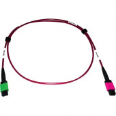 Tripp Lite N846D-01M-16BMG 400G Multimode 50/125 OM4 Fiber Optic Cable, Magenta, 1 m - 3.28 ft Fiber Optic Network Cable for Network Device, Transceiver, Network Switch, Patch Panel - First End: 1 x MTP/MPO Female Network - Second End: 1 x MTP/MPO Female 