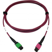 Tripp Lite N846D-03M-16BMG 400G Multimode 50/125 OM4 Fiber Optic Cable, Magenta, 3 m - 9.84 ft Fiber Optic Network Cable for Network Device, Transceiver, Network Switch, Patch Panel - First End: 1 x MTP/MPO Female Network - Second End: 1 x MTP/MPO Female 