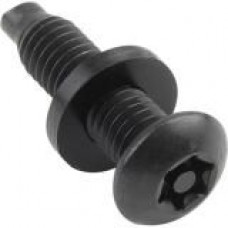 Chief 25 Pc. Security Rack Screws - Rack Screw, Washer - 10 - 0.75" - Steel, Zinc Plated - Black PNTX-25