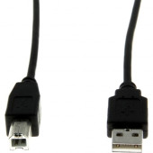 Rocstor Premium High Speed USB 2.0 - 10 ft USB cable - 4 pin USB Type A (M) - 4 pin USB Type B (M) - 1.8 m (USB / Hi-Speed USB ) - Type A Male - Type B Male - For printers, scanners or external USB hard drives - 10ft CABLE M/M - 10 ft USB Data Transfer Ca