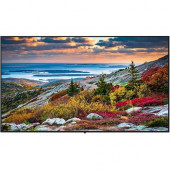 Panasonic TH-49CQE1W Digital Signage Display - 49" LCD - 3840 x 2160 - Direct LED - 400 Nit - 2160p - HDMI - USB - Serial - Wireless LAN - Ethernet TH-49CQE1W