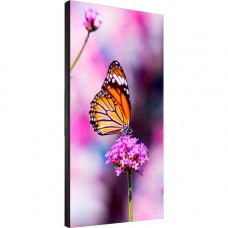 NEC Display 55" LED Backlit 0.88mm Ultra-Narrow Bezel 2x2 Video Wall Bundle - 55" LCD - 2x2 Video Wall - Yes - 1920 x 1080 - Direct LED - 500 Nit - 1080p - HDMI - USB - DVI - SerialEthernet - TAA Compliance UN552VS-TMX4P