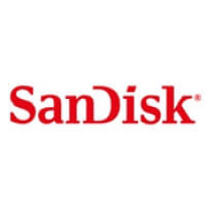 Sandisk PC SA530 256 GB Solid State Drive - SATA (SATA/600) - 100 TB (TBW) - Internal - M.2 2280 - 550 MB/s Maximum Read Transfer Rate - 525 MB/s Maximum Write Transfer Rate SDASN8Y-256G