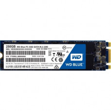 Western Digital WD Blue M.2 250GB Internal SSD Solid State Drive - SATA 6Gb/s - 540 MB/s Maximum Read Transfer Rate - 500 MB/s Maximum Write Transfer Rate-None Listed Compliance WDS250G1B0B